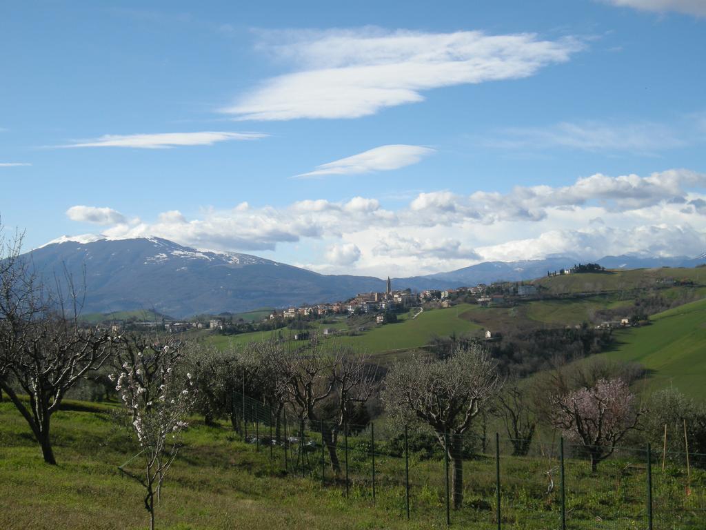 Bed And Breakfast San Martino Castignano エクステリア 写真